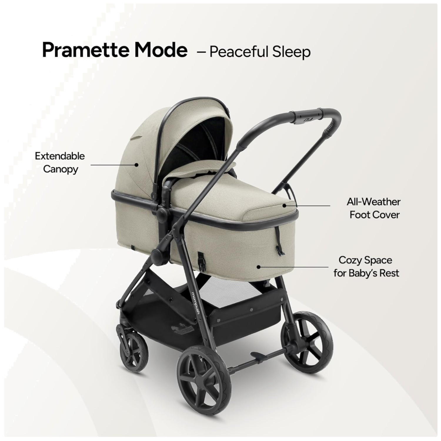 Wiz 2-in-1 Baby Stroller with Reversible Seat