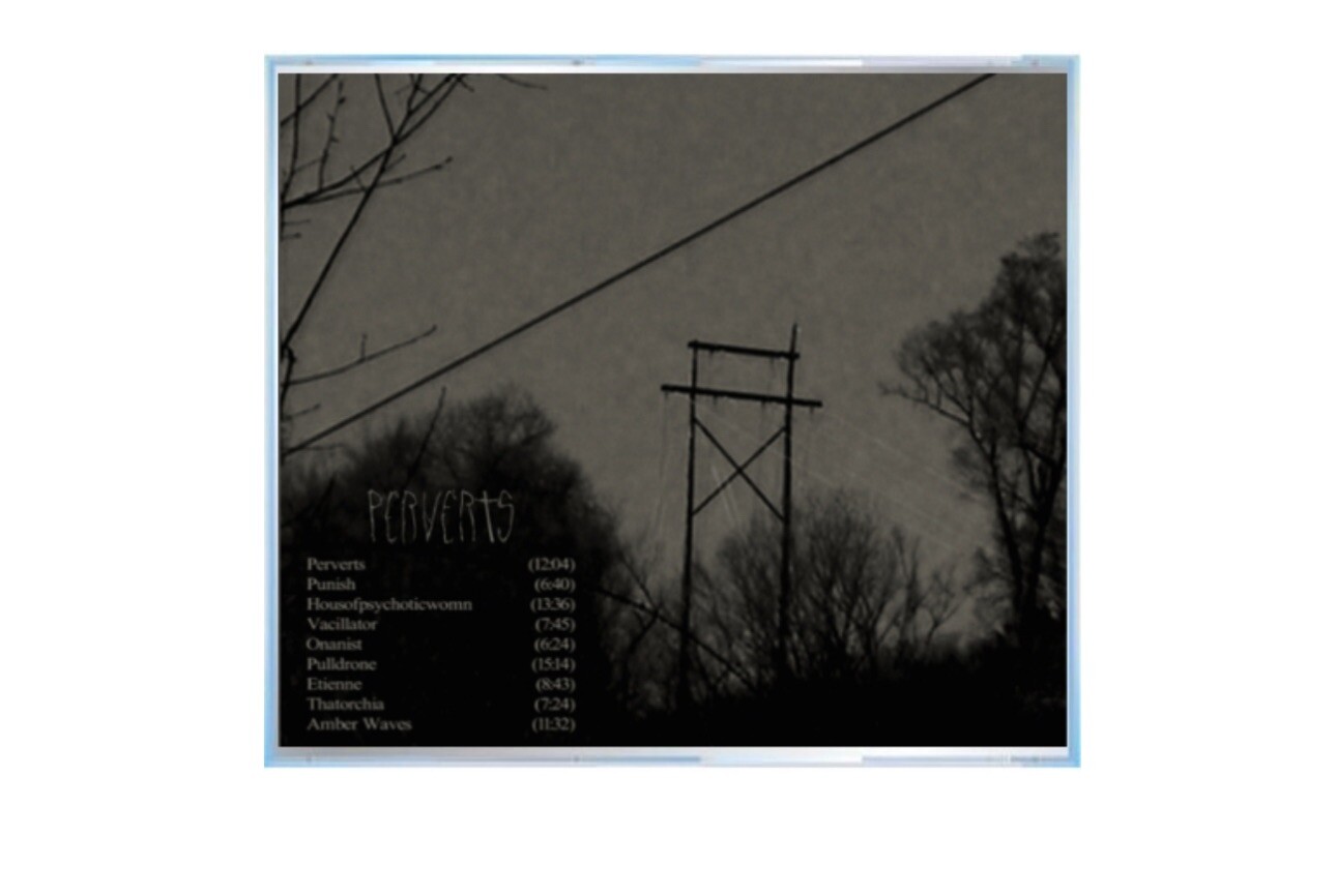Ethel Cain CD - P*****ts