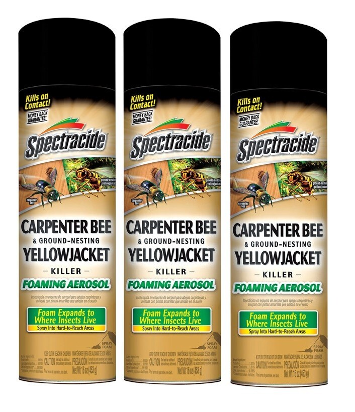 3~Spectricide Carpenter Bee & Ground-Nesting Yellowjacket Killer Foaming Aerosol