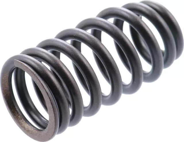 Genuine Nissan Engine Valve Spring 13203-6KA0A