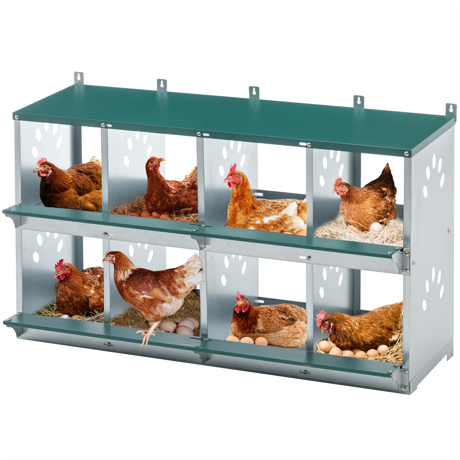 Metal Hens Box 8 Compartment Wall Mount Nesting Box for Chickens Laying Eggs