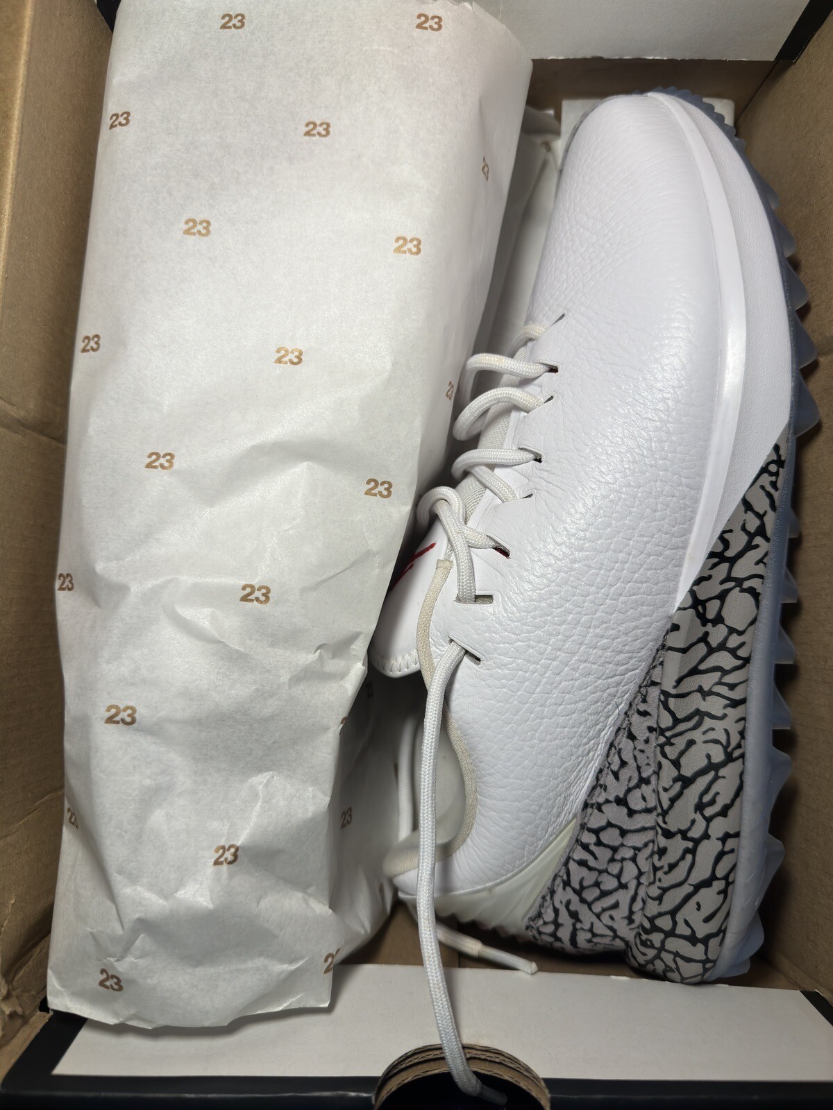 Nike Jordan ADG