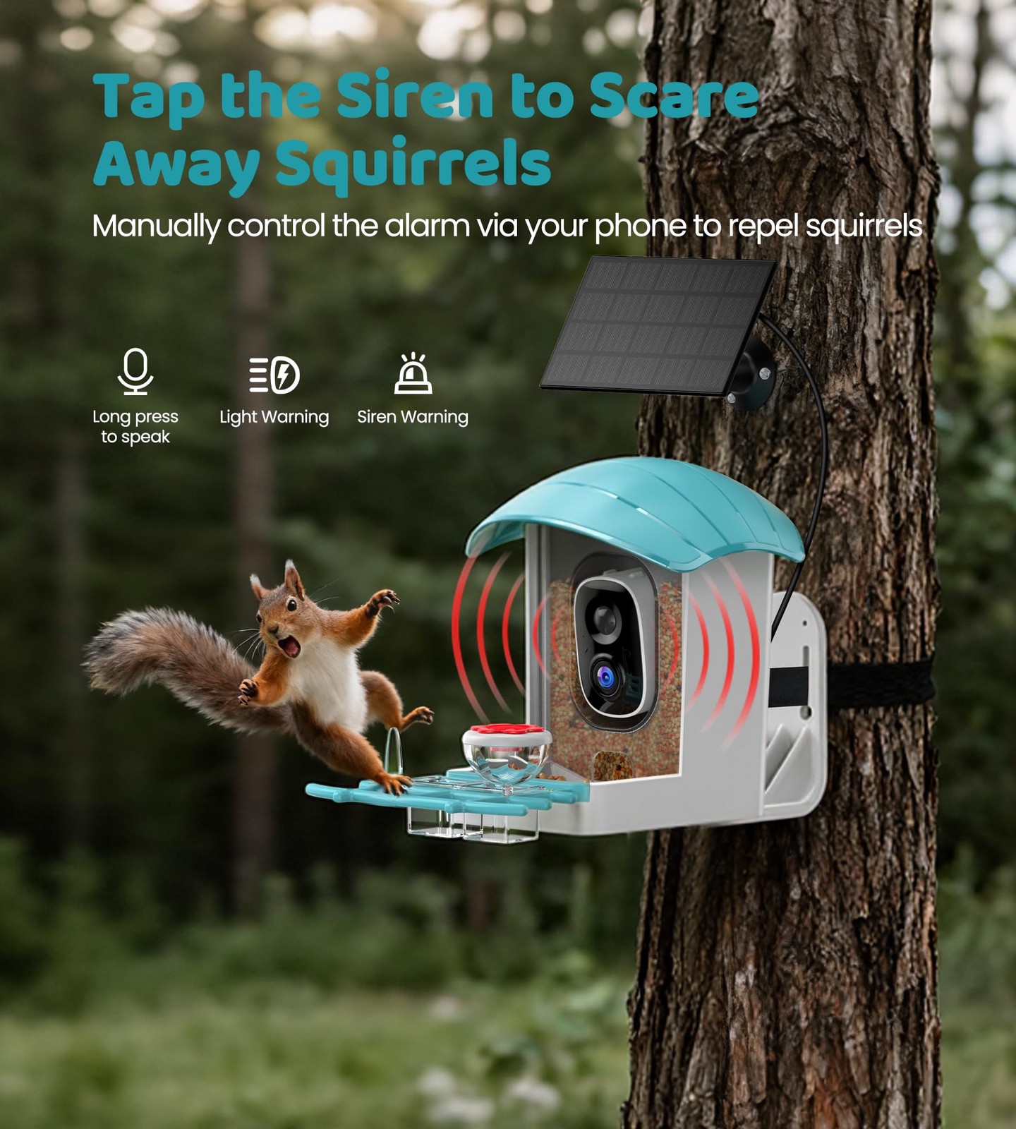Bird Feeder with Camera Solar Powered: Smart Feeders for Medium, Blue