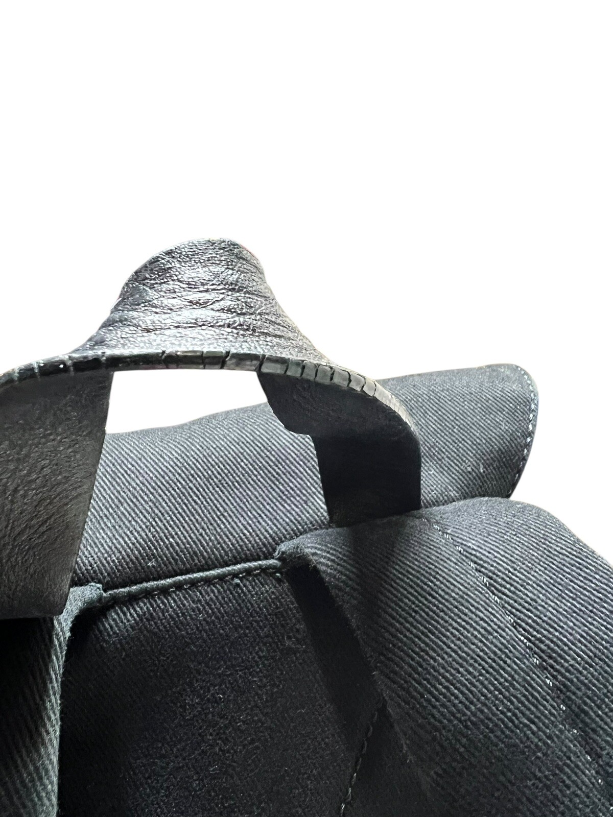 EVERLANE THE MODERN SNAP UNISEX BLACK Canvas Backpack