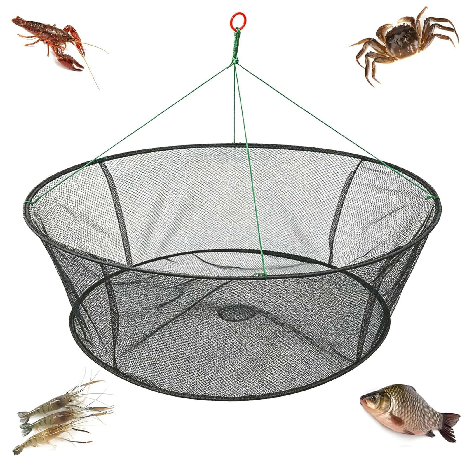 WEISGJA Portable Folded Fishing Net, Trap 31.5 inches (80 cm), Green