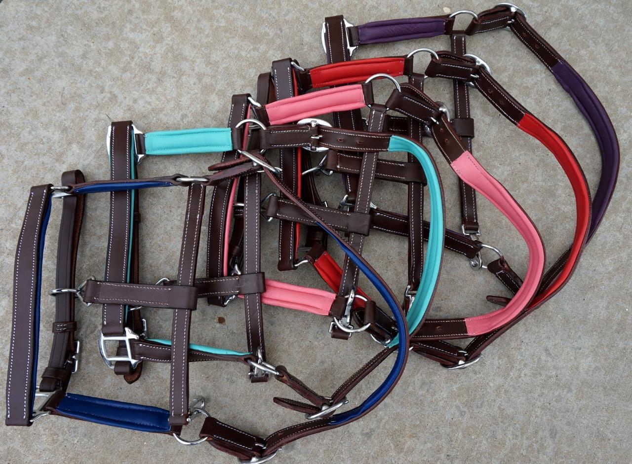 BROWN Leather Halter XL/ Warmblood Horse Pink Teal Purple White R.Blue Padded