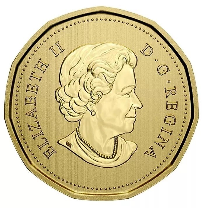 Canada 2021 - Blanding's Turtle - Specimen Loonie!!