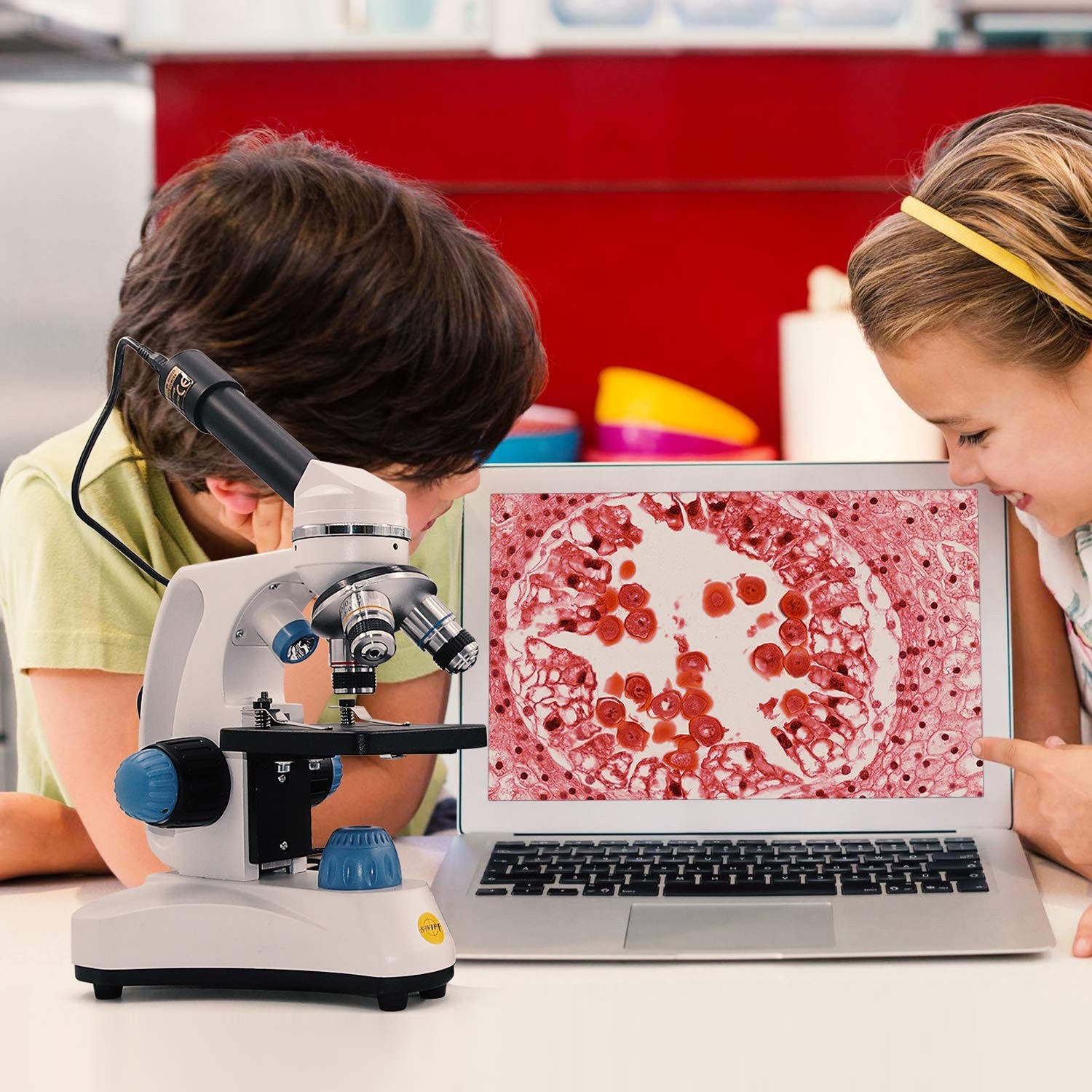Microscope SW150,Compound Student Microscope,40X-1000X,Monocular Head,Coarse ...