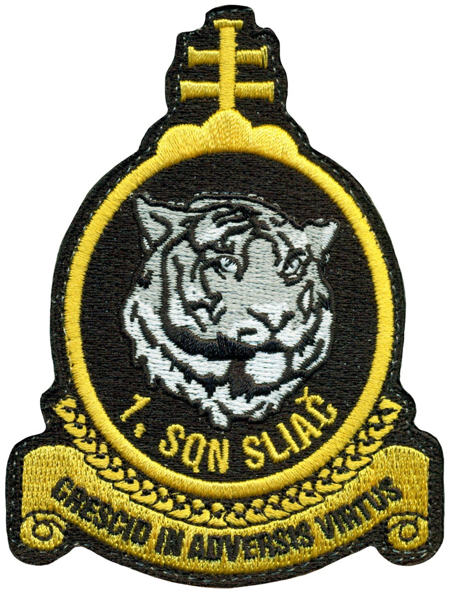 SLOVAK REPUBLIC AIR FORCE 1st FIGHTER SQUADRON PATCH