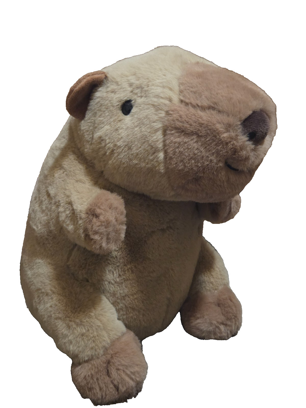FAO Schwarz Capybara Plush 2024 Sitting Adopt a Pet Stuffed Animal Toy