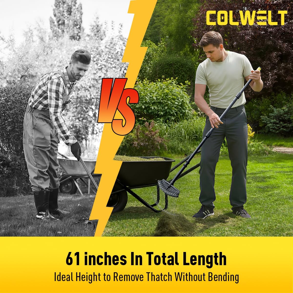 Best Colwelt Thatch Rake, Dethatcher Rake with Thin, Curved Spring Steel Tines