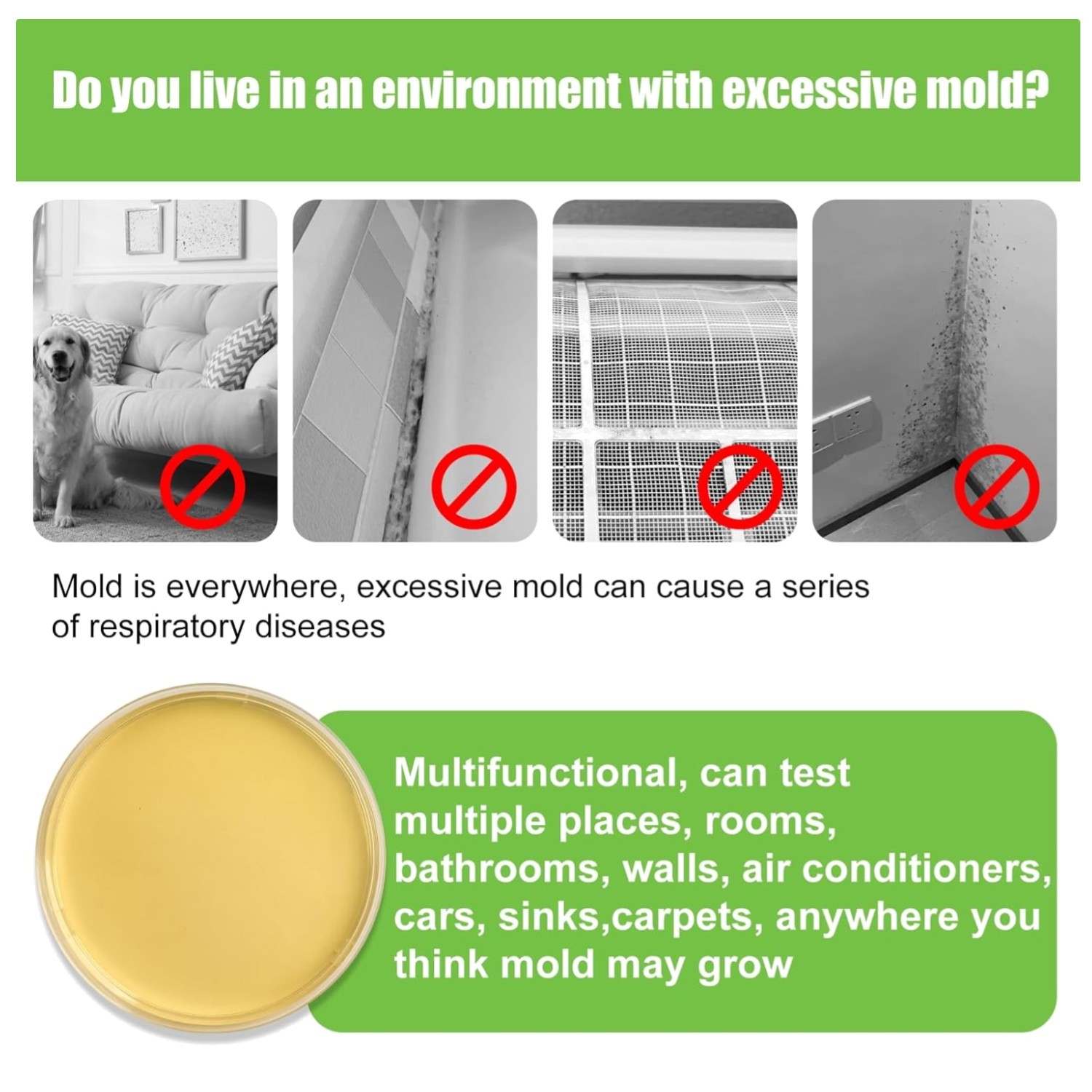 DIY Black Mold Detector - Indoor Air Quality Tester