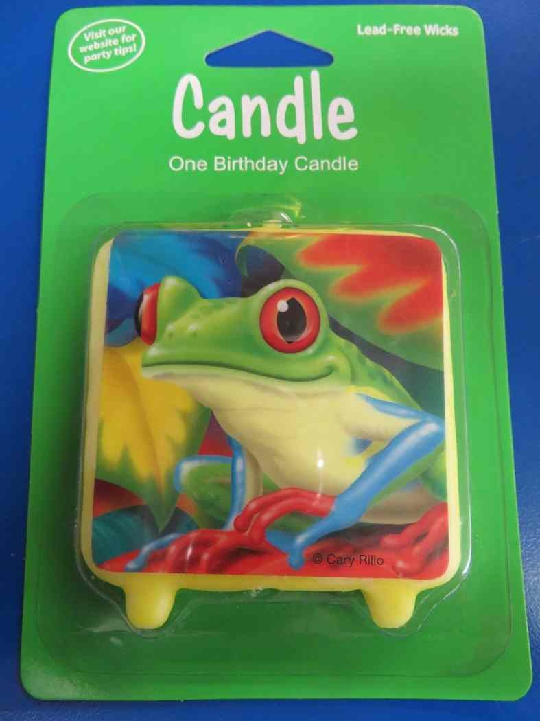 Fun Frogs Tropical Rainforest Animals Kids Birthday Party Molded Cake Candle