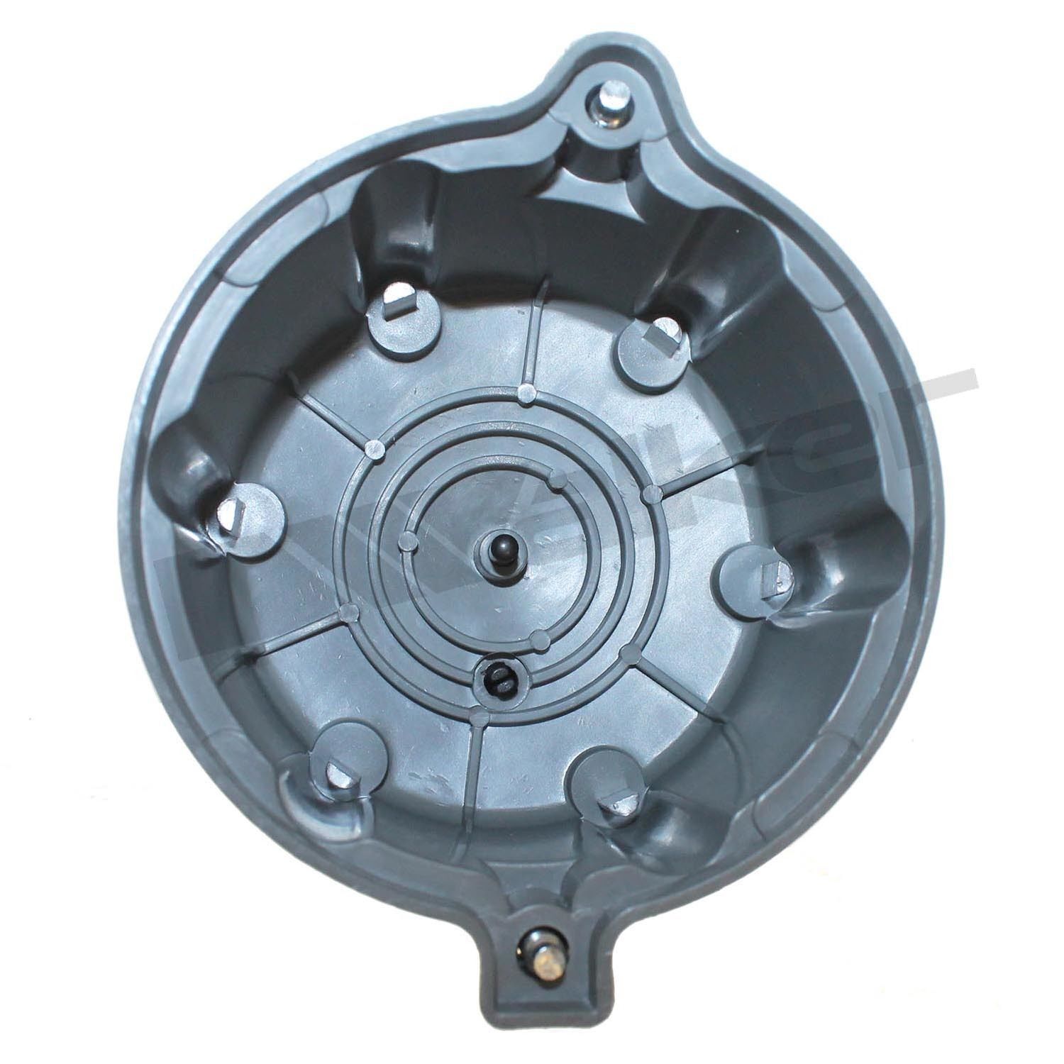 Dist Cap Walker Products 925-1020