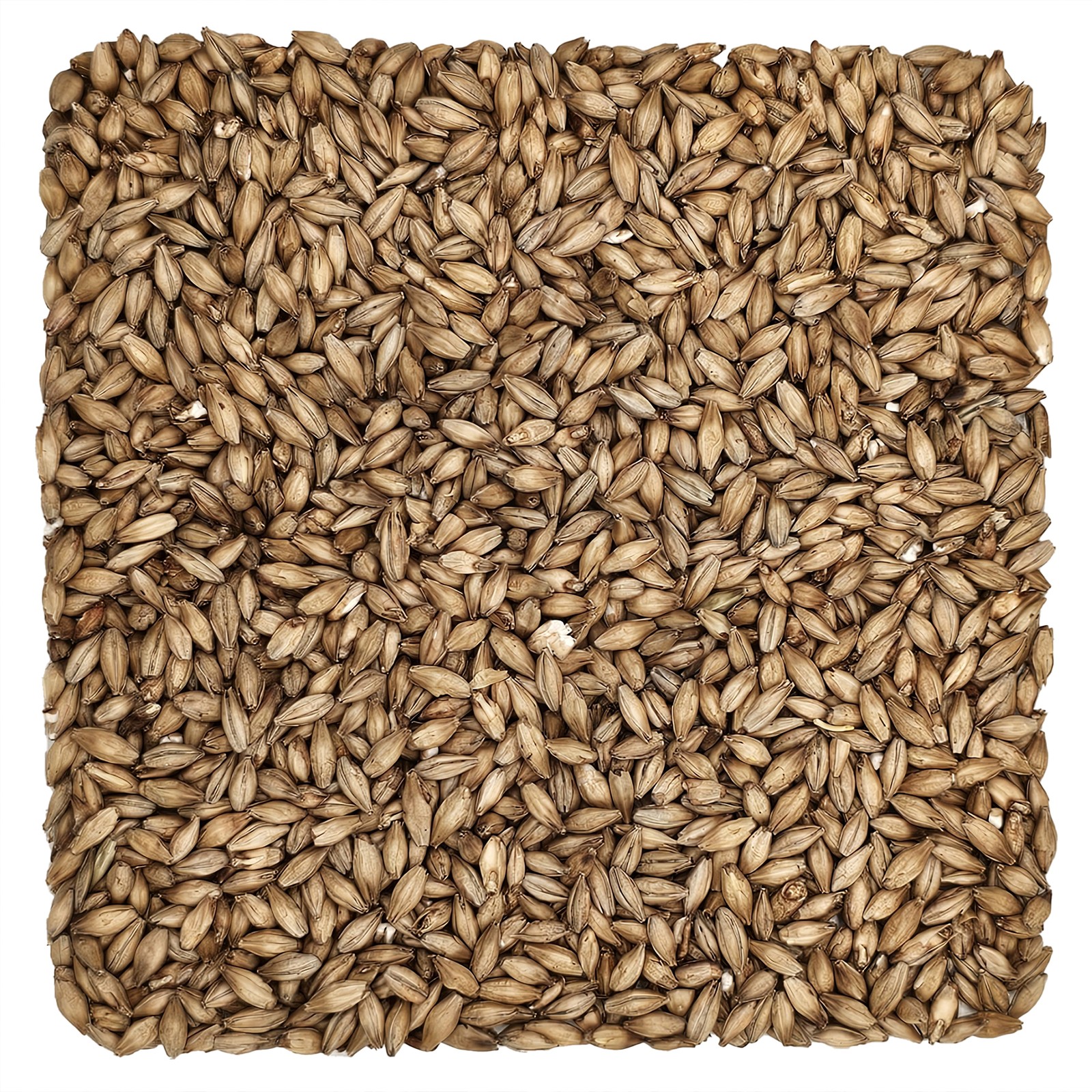 Home Brew Ohio Lager Grain 1lb