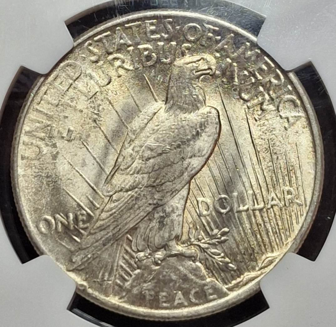 1925 Peace Dollar - NGC MS63