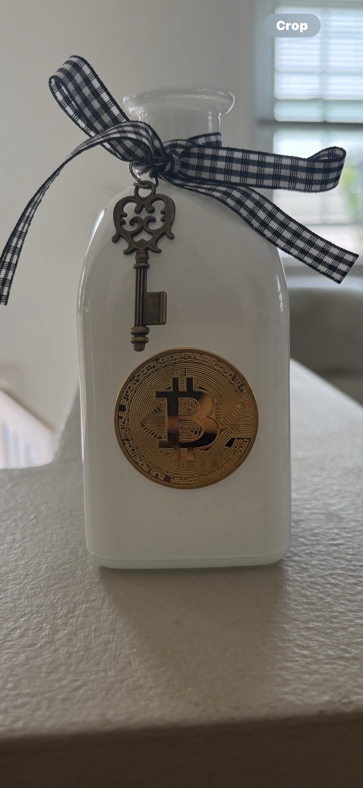 Bitcoin Commemorative Display