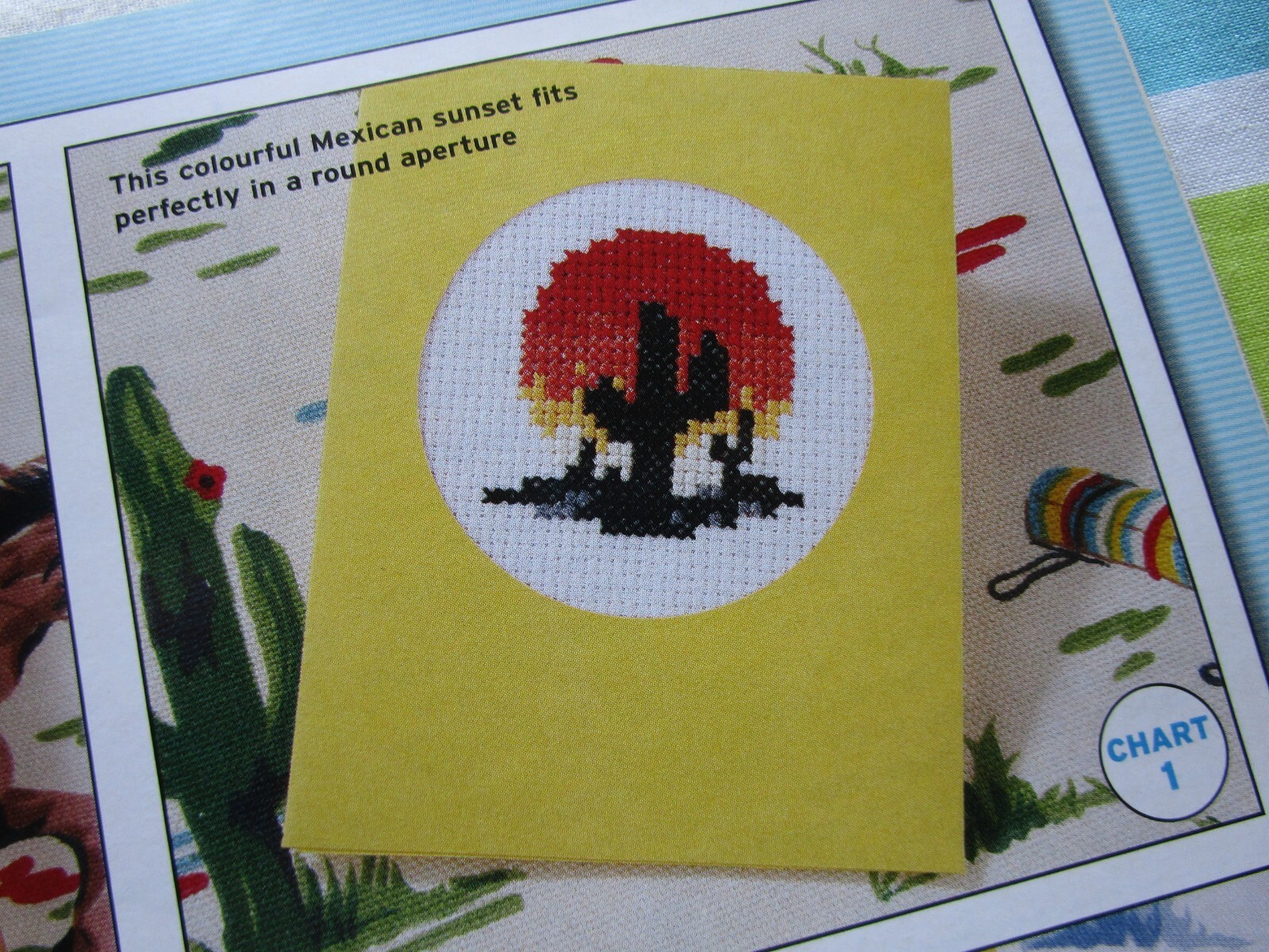 Wild Wild West Assortment Design Collection 29 CROSS STITCH PATTERNS