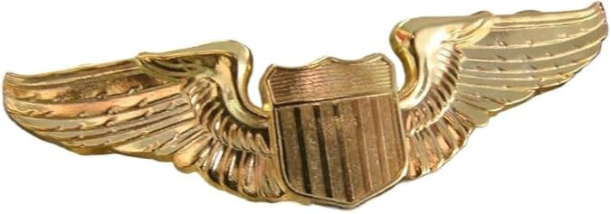 WW2 US Air Force USAF Pilot Wing Insignia Pin GOLD -METAL Double clutch pin back