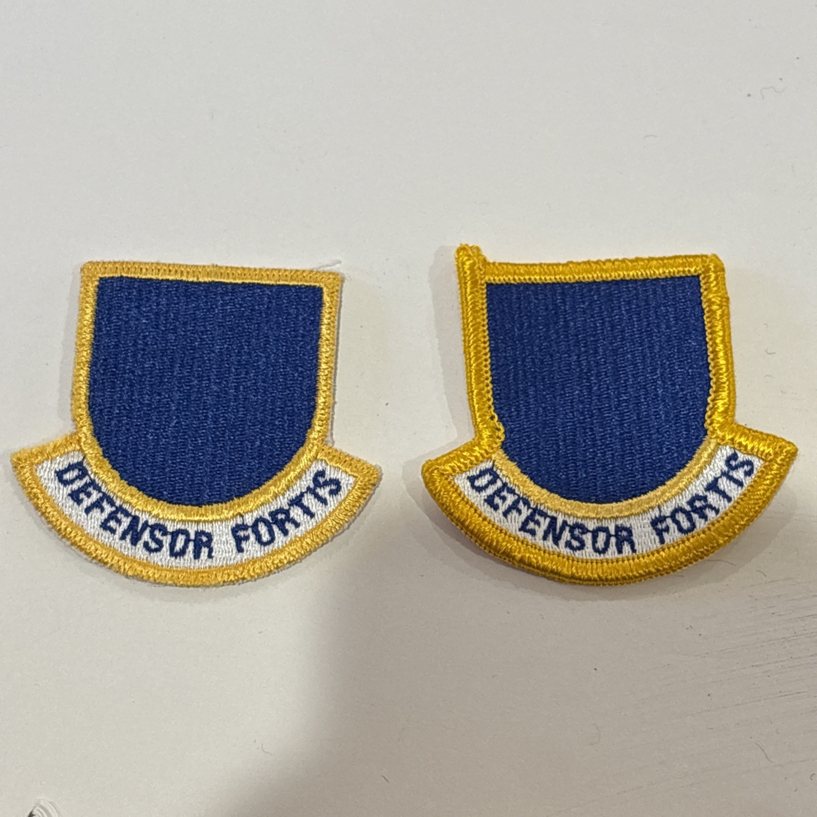 USAF Air Force Security Officer beret flash
