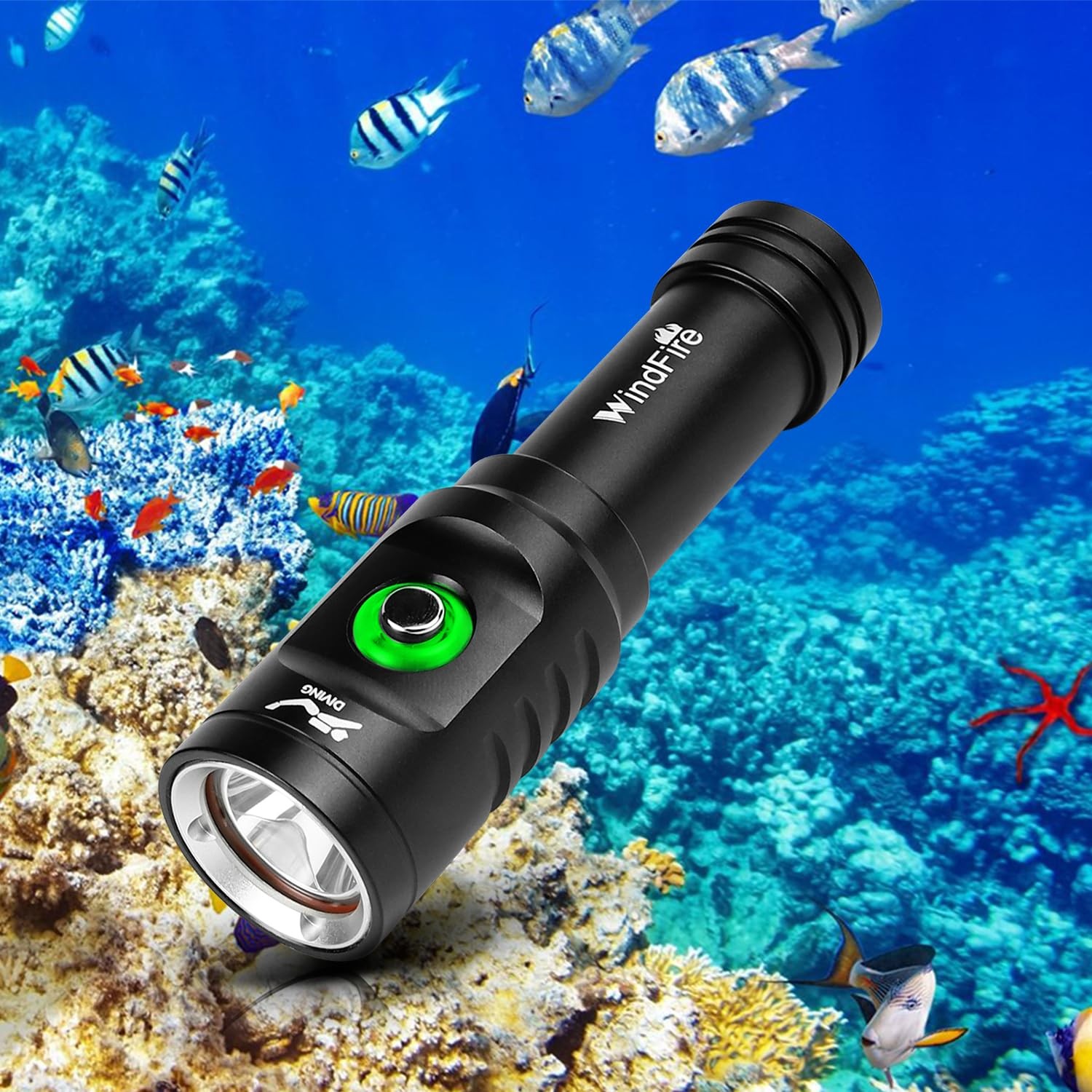 WINDFIRE Dive Light Scuba Diving Flashlight Bright Black-TS08, Black-TS08