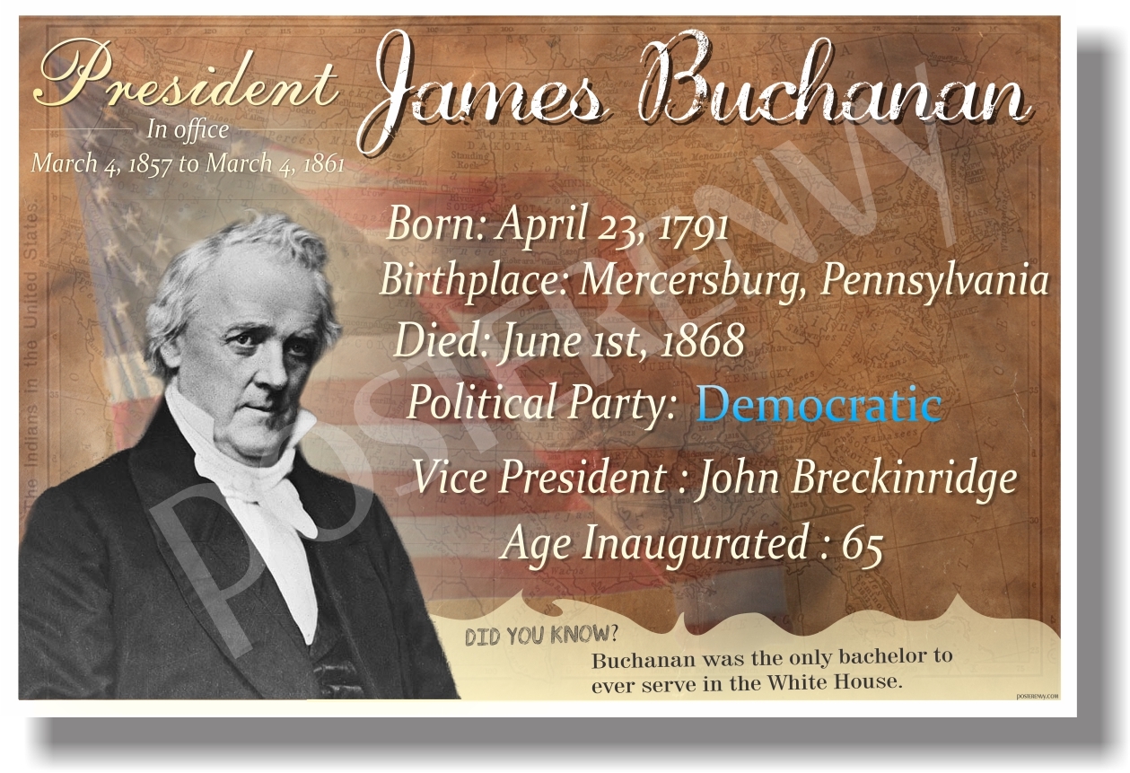 Presidential Series - James Buchanan - NEW Famous U.S. President POSTER