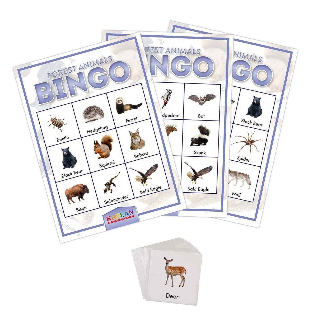 Kaplan Early Learning Forest Animals Bingo Learning Game