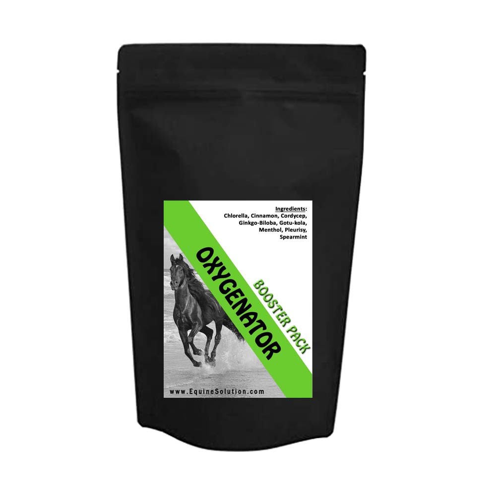 OXYGENATOR - Booster Pack 2oz for Horses