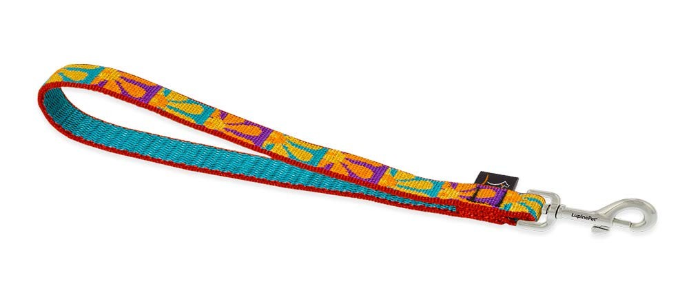 LupinePet Originals 3/4" Crazy Daisy 11" Training Tab/Leash