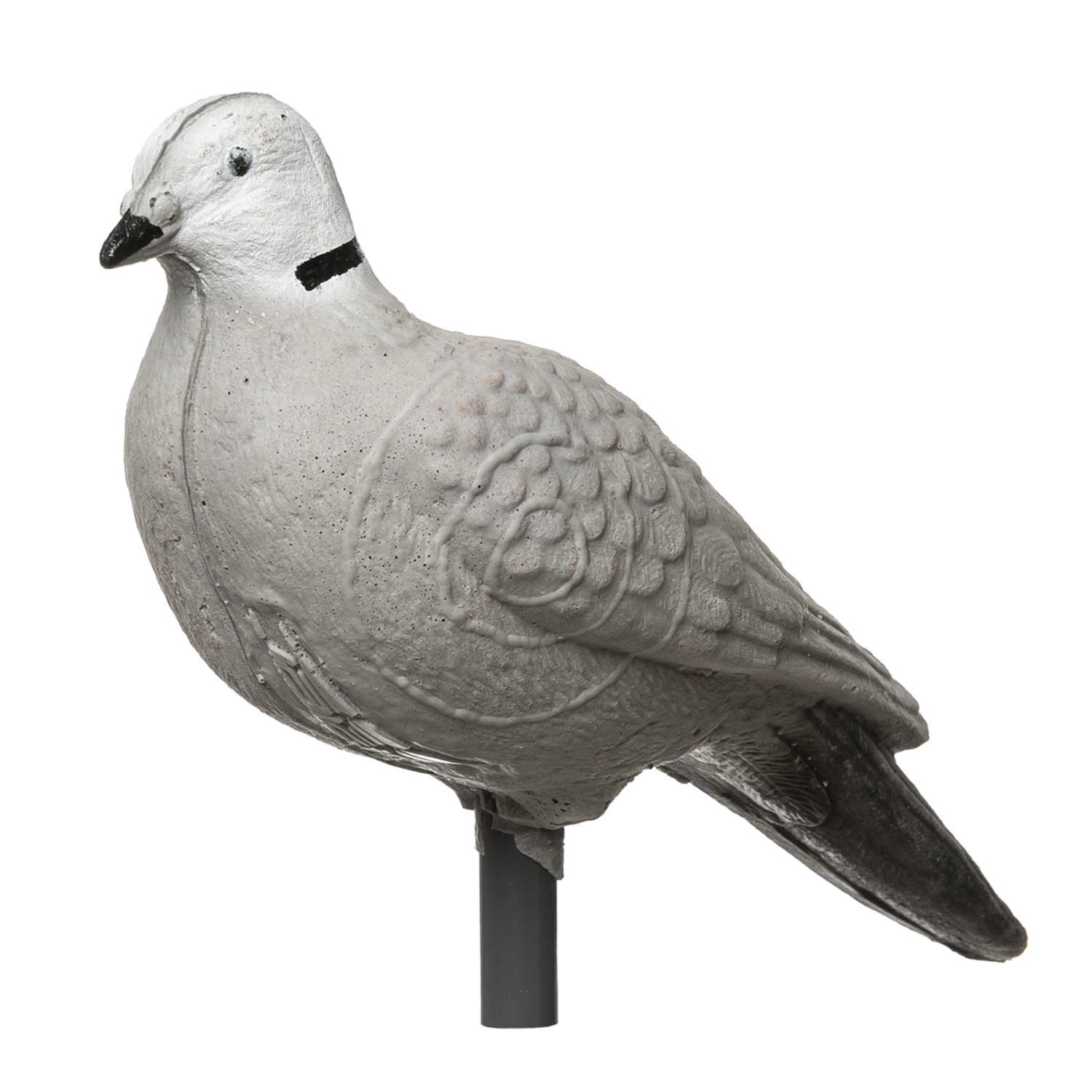 IBB 3D Animal Pigeon