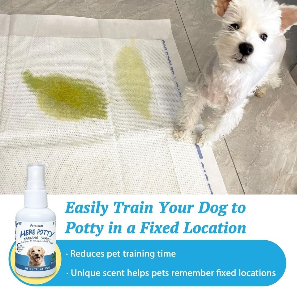 Dog Not Here & Here Potty Training Spray Kit, Puppy Essentials. Pee Here Corr...