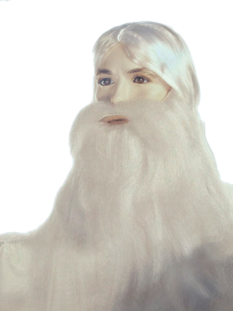 Wizard Set Spb White - Lacey Wigs