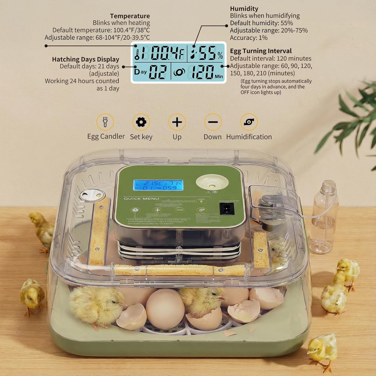 Incubators for Hatching Eggs, 12 Egg Incubator with Automatic Egg Turning, Tempe