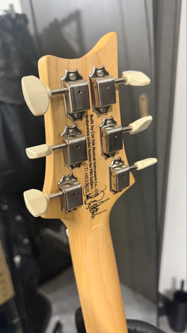 Paul Reed Smith - Prs Se Nf 53