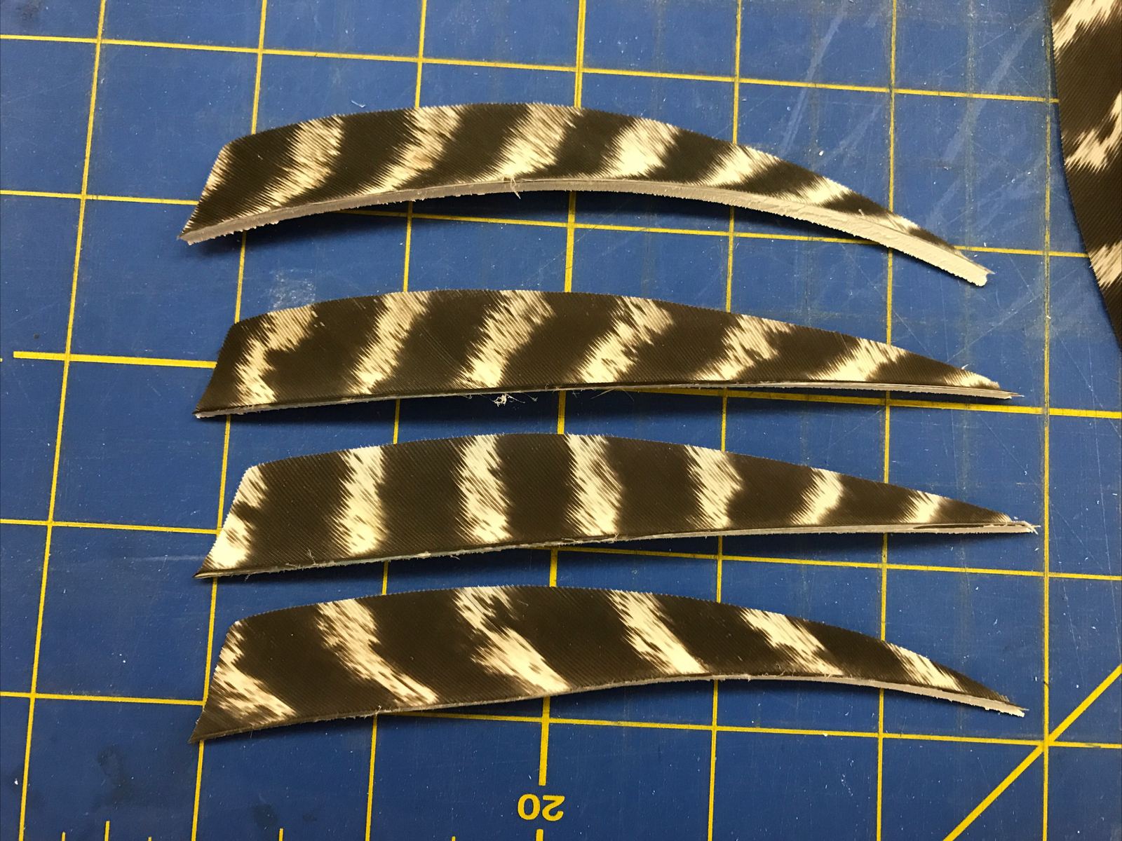 5" Right Wing Shield Natural Barred Feather Fletching, 25Pk Archery 🇺🇸