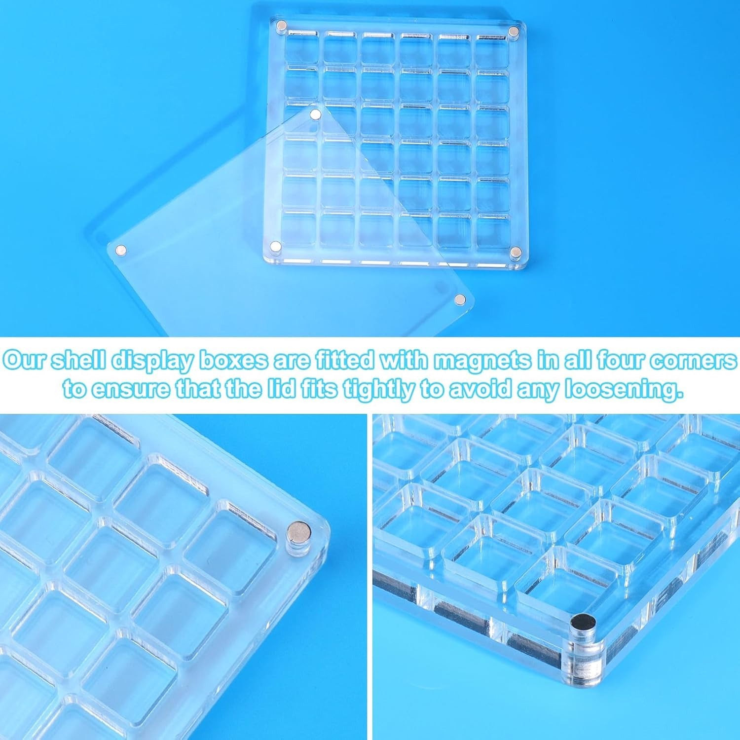 Clear Acrylic Magnetic Seashell Display Box Beach Shell 36 Grid Storage Case NEW