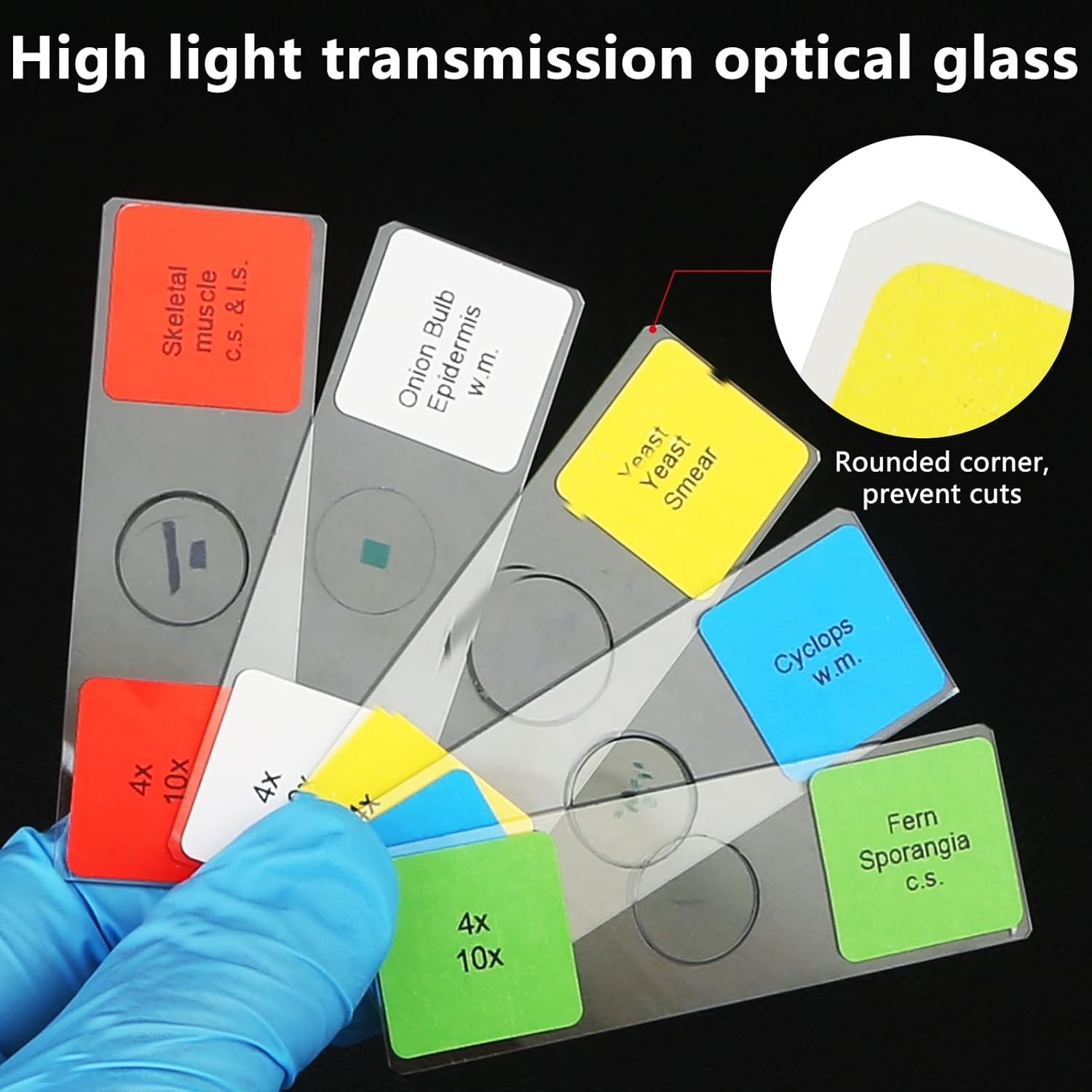 Diverse 60-Piece Microscope Slides Set for Kids - Perfect for Science Learning