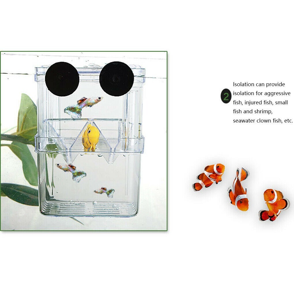 Aquarium Fish Tank Breeding Breeder Rearing Box Hatchery Isolation Case, Small
