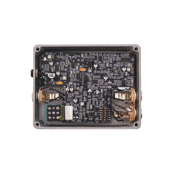 Fairfield Circuitry Meet Maude Analog Delay Pedal