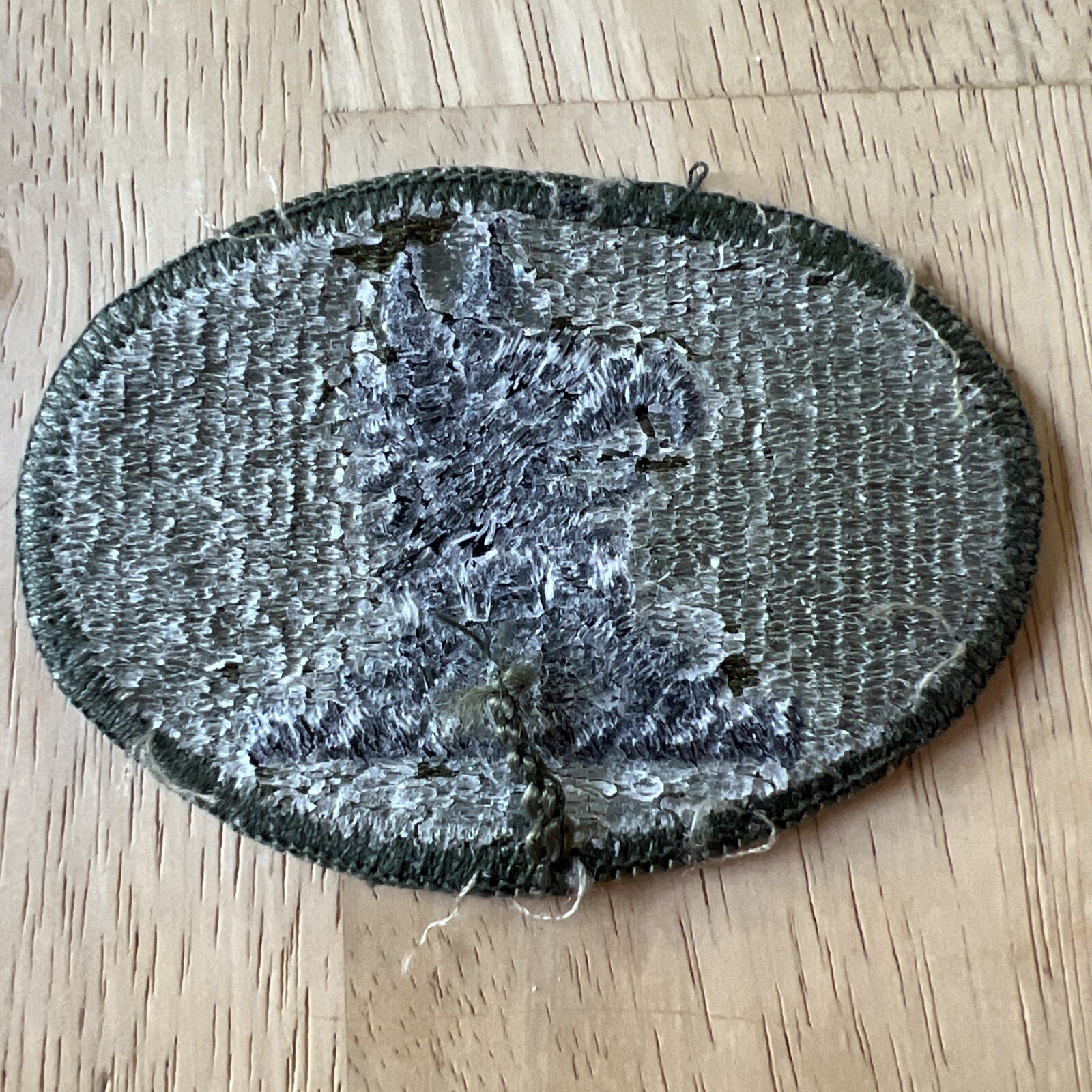 US Army Delaware State National Guard Patch