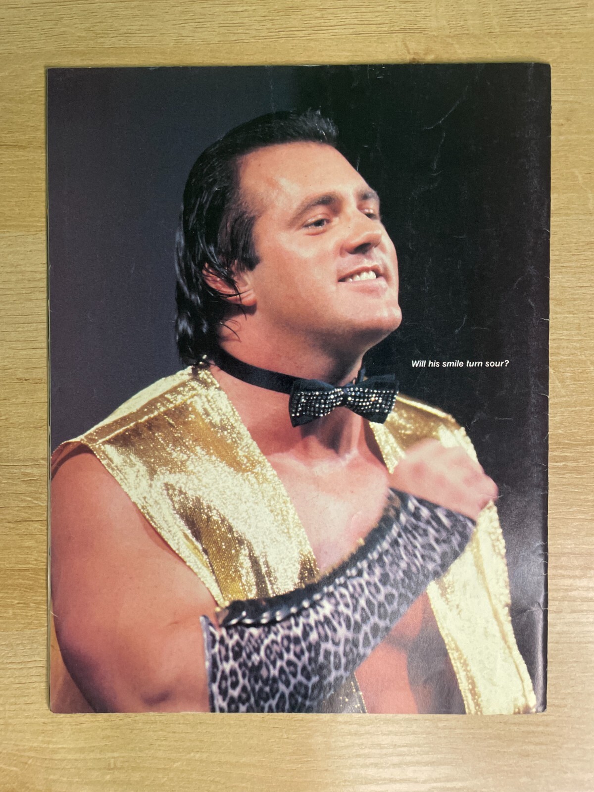 Vintage WWF Program #124 Vendettas Still Seethe B2783