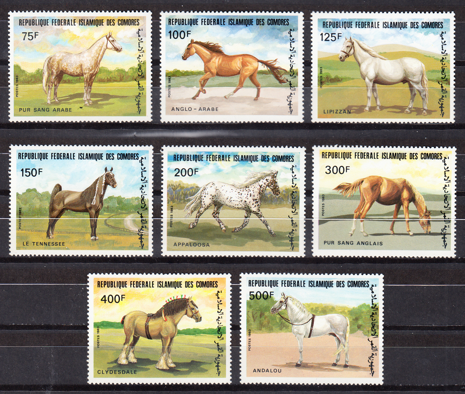 W COMORO 0579-586 HORSES