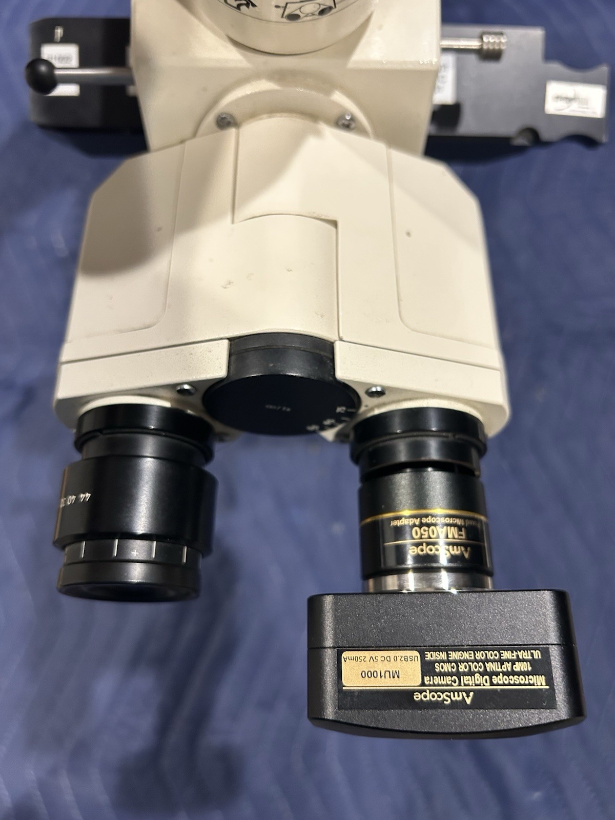 Zeiss Axioskop & AmScope MU1000 10MP USB 2.0 Microscope Digital Camera