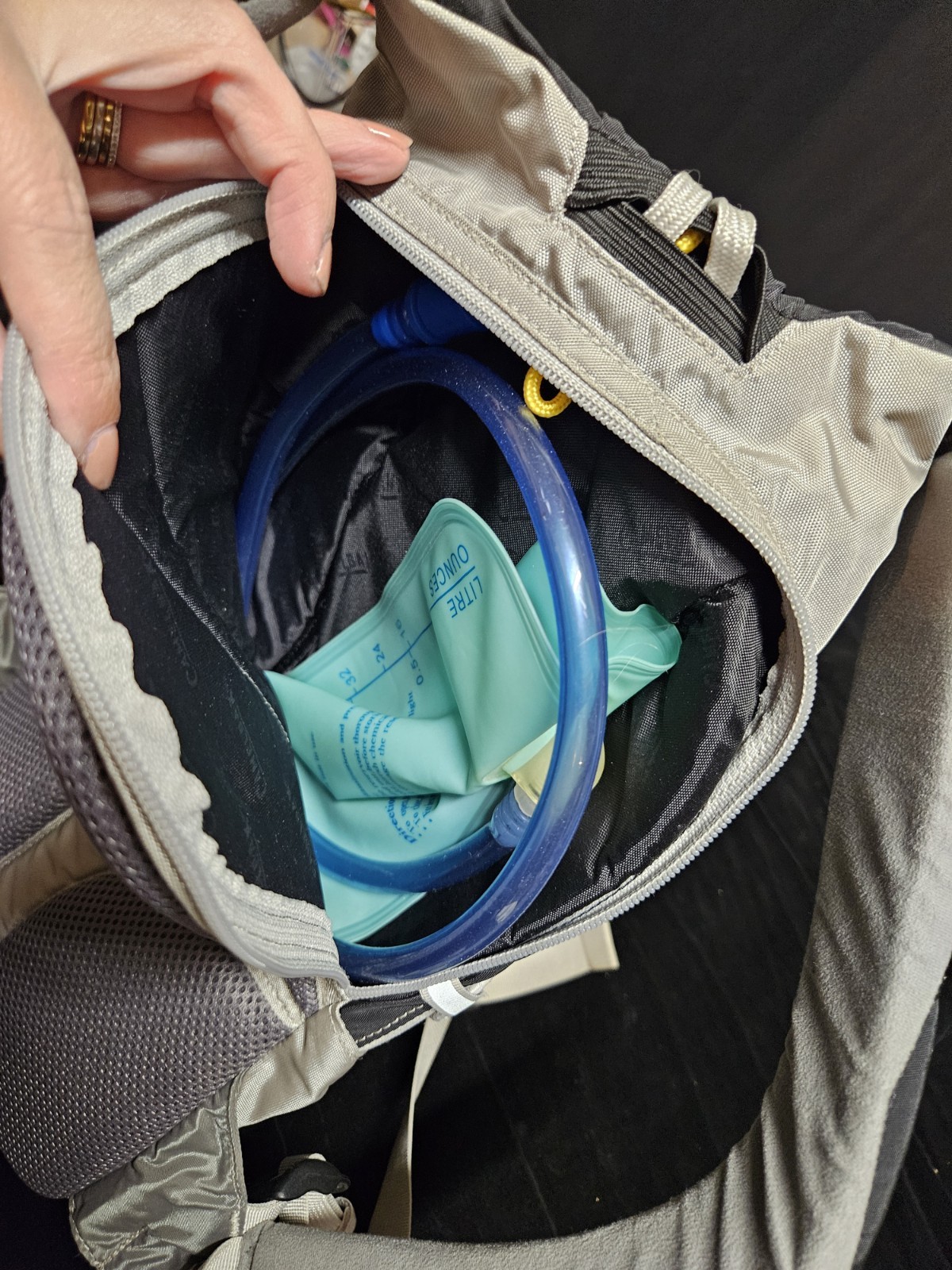CamelBak Magic Hydration Gray Pack Clean With Bladder.