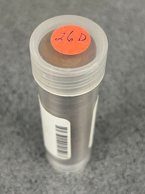 Full Roll (50) 1926 D United States Circ Lincoln Pennies.
