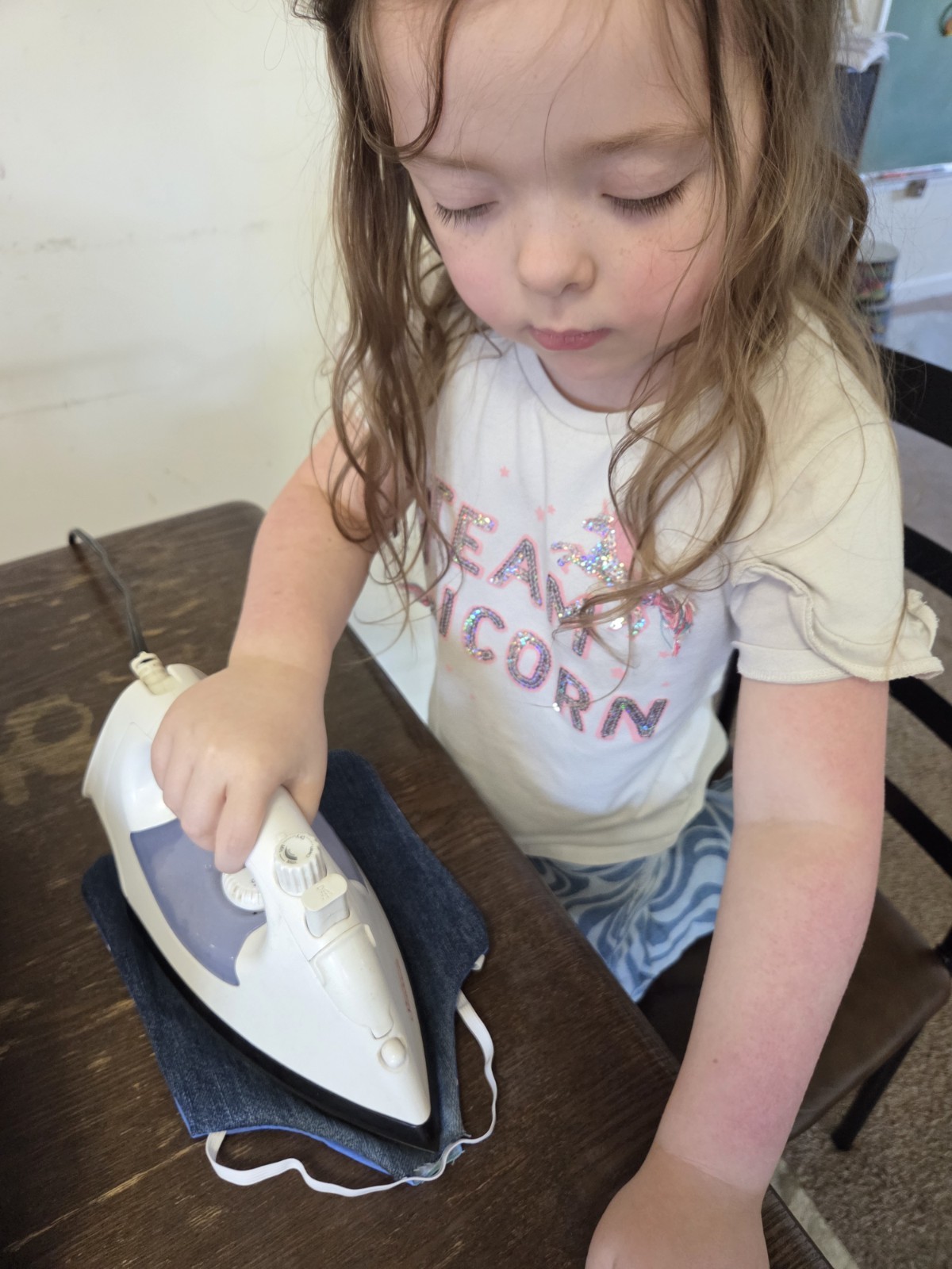 Standard Hen Chicken Saddle Denim Backed