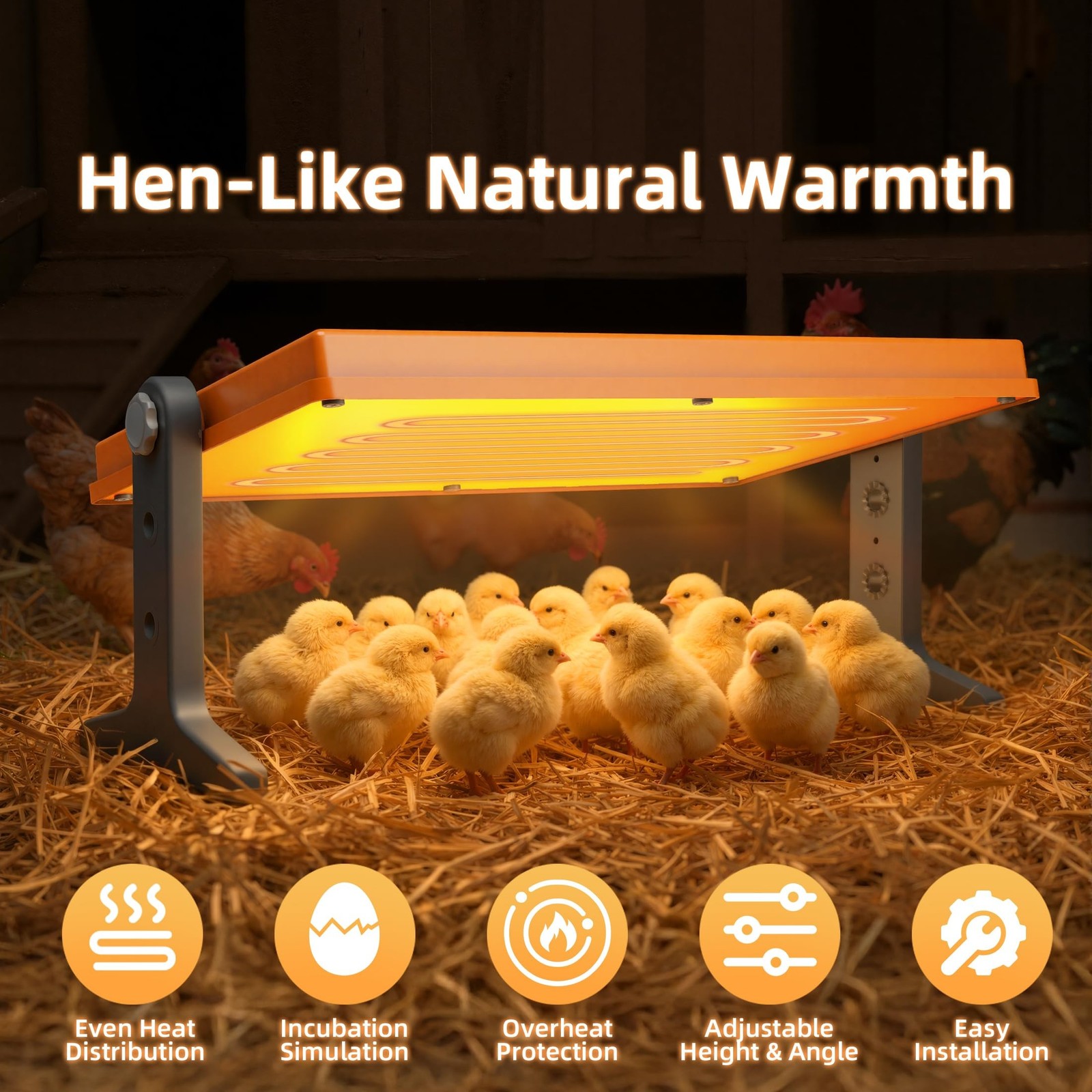 Chick Brooder Heater Plate – 12" x 8" Adjustable Height & Temperature Poul