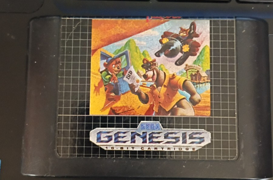 sega genesis 18 bit cardridge