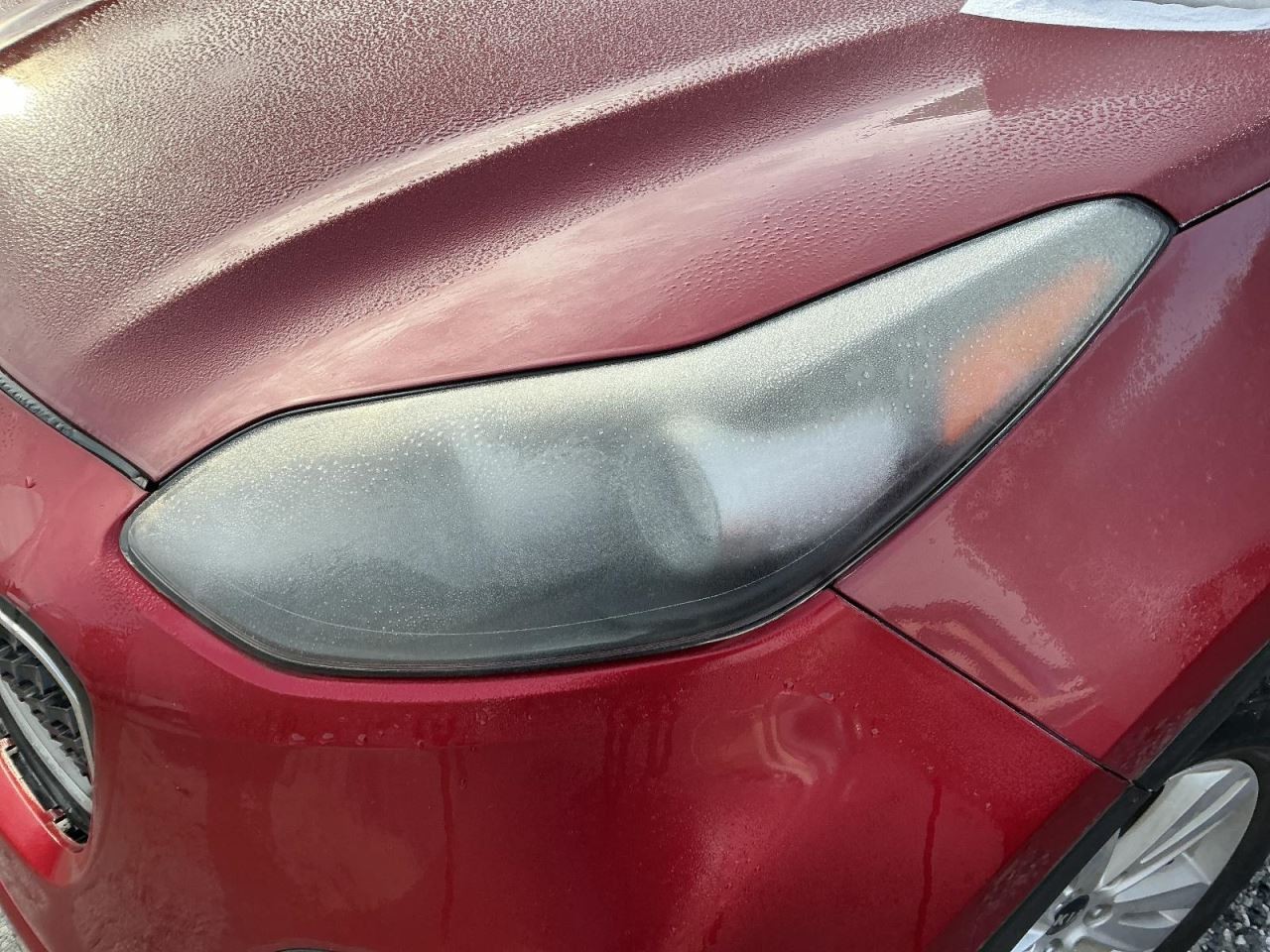 SPORTAGE 2018 Glove Box 4888648