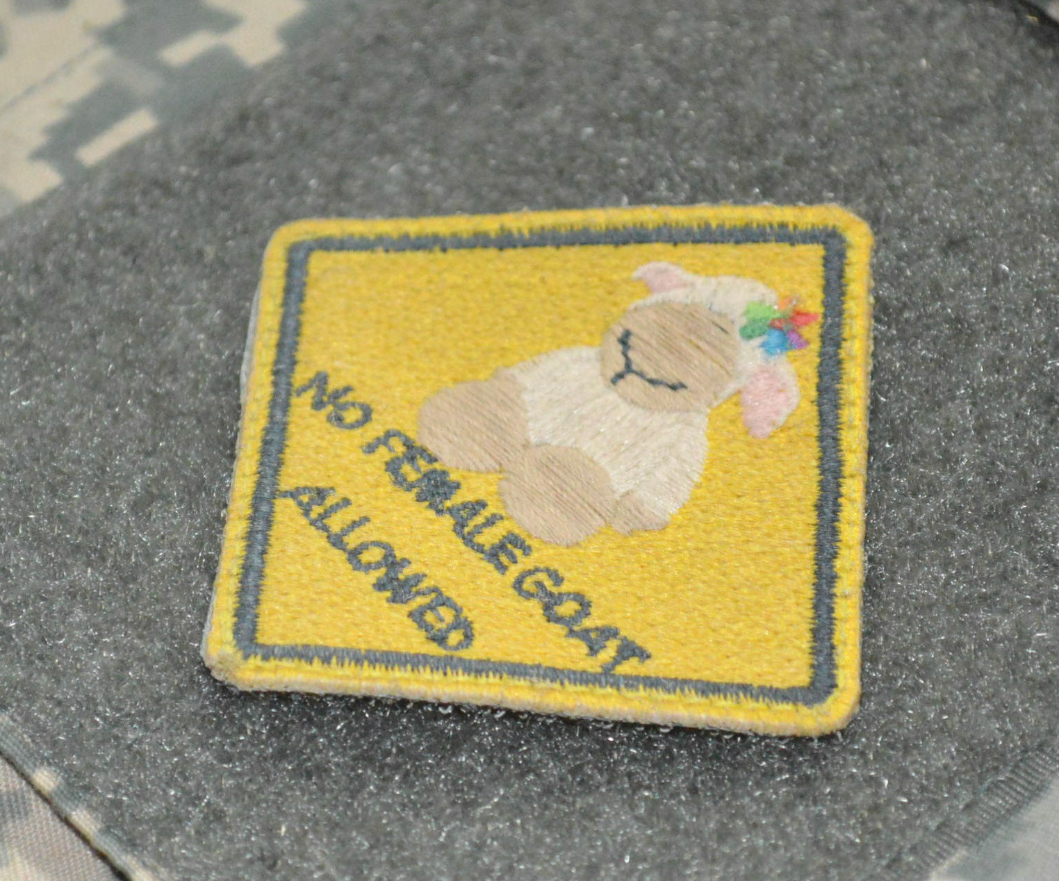 Syria-Iraq GREEN BERETS SP OPS SFG SAS JTF velkrö 2" TAB: No Female Goat Allowed